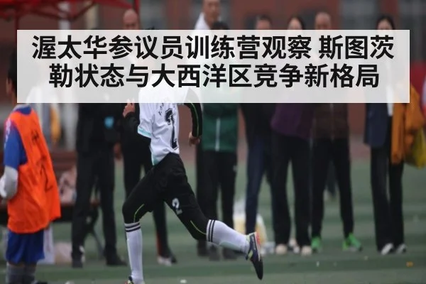 渥太华参议员训练营观察 斯图茨勒状态与大西洋区竞争新格局